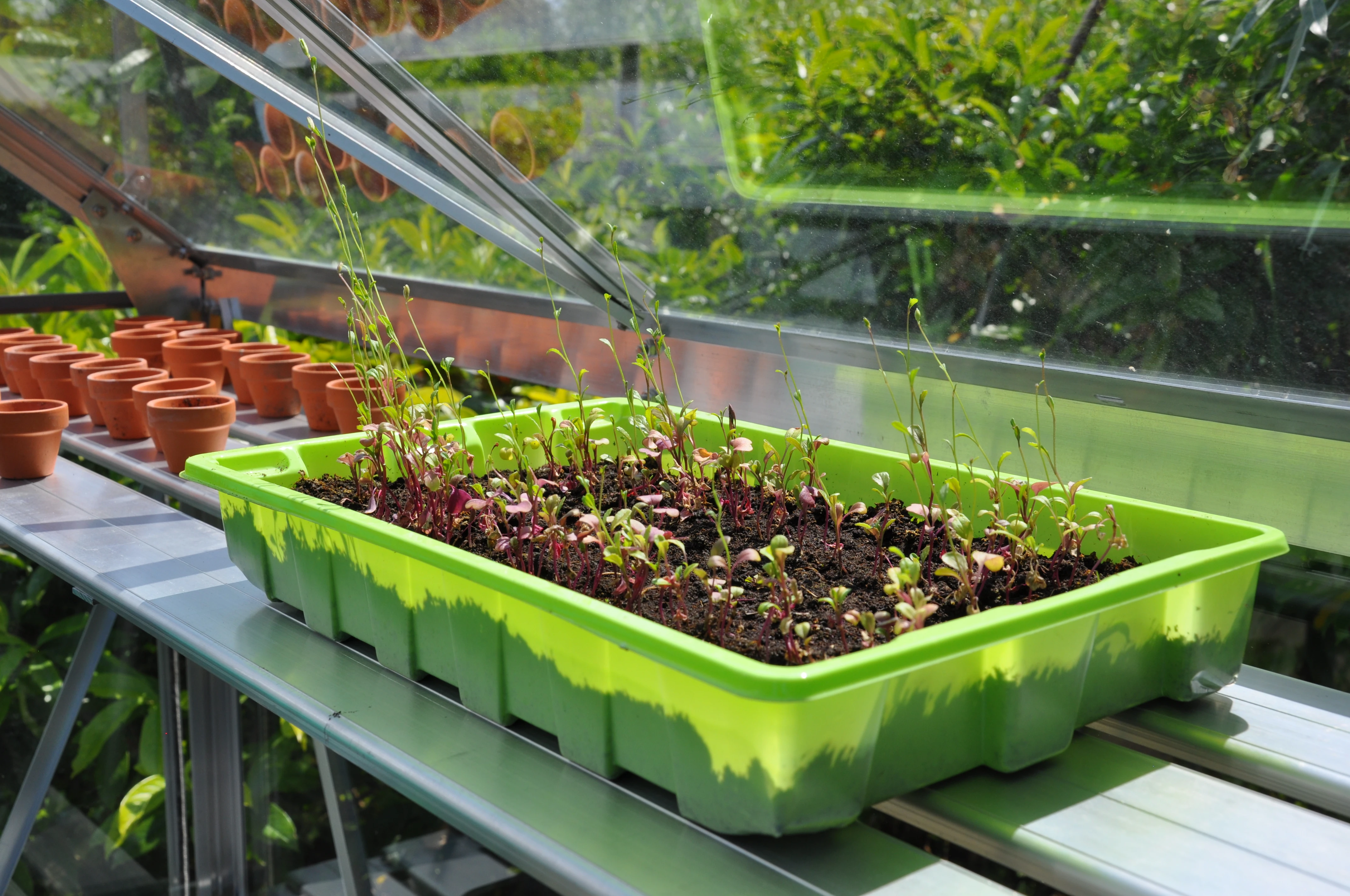 Royal Well Alu Sower 150 x 32.5 cm - Afbeelding 1